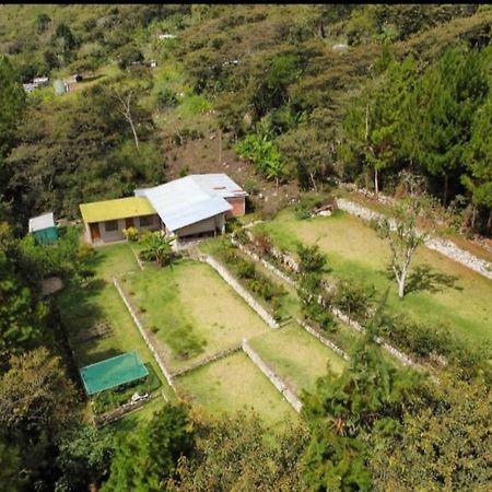 Lucmabamba Lodge Santa Teresa  Ngoại thất bức ảnh