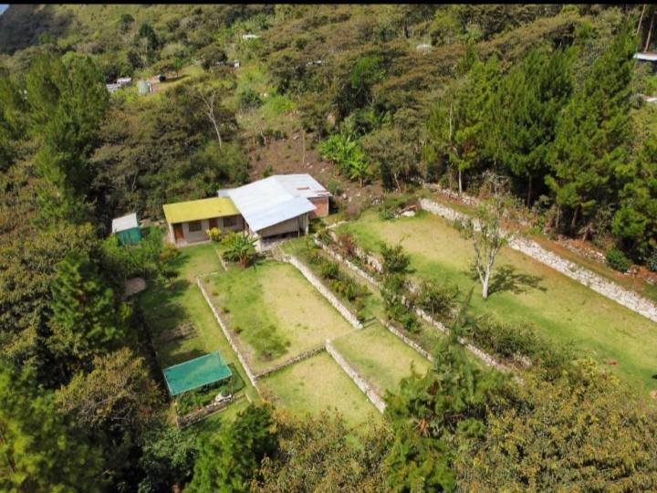 Lucmabamba Lodge Santa Teresa  Ngoại thất bức ảnh