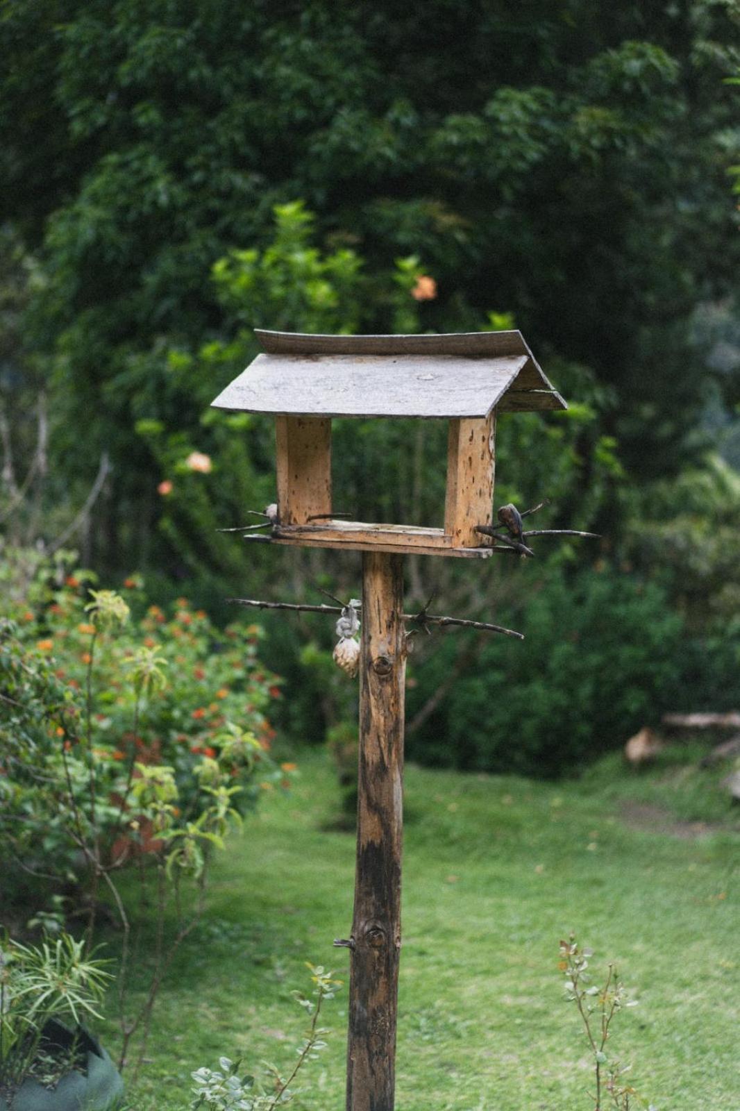 Lucmabamba Lodge Santa Teresa  Ngoại thất bức ảnh
