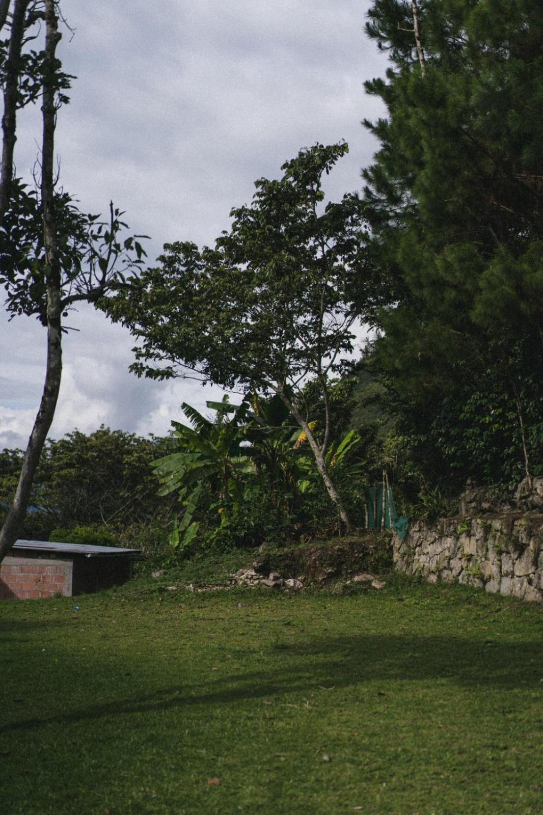 Lucmabamba Lodge Santa Teresa  Ngoại thất bức ảnh