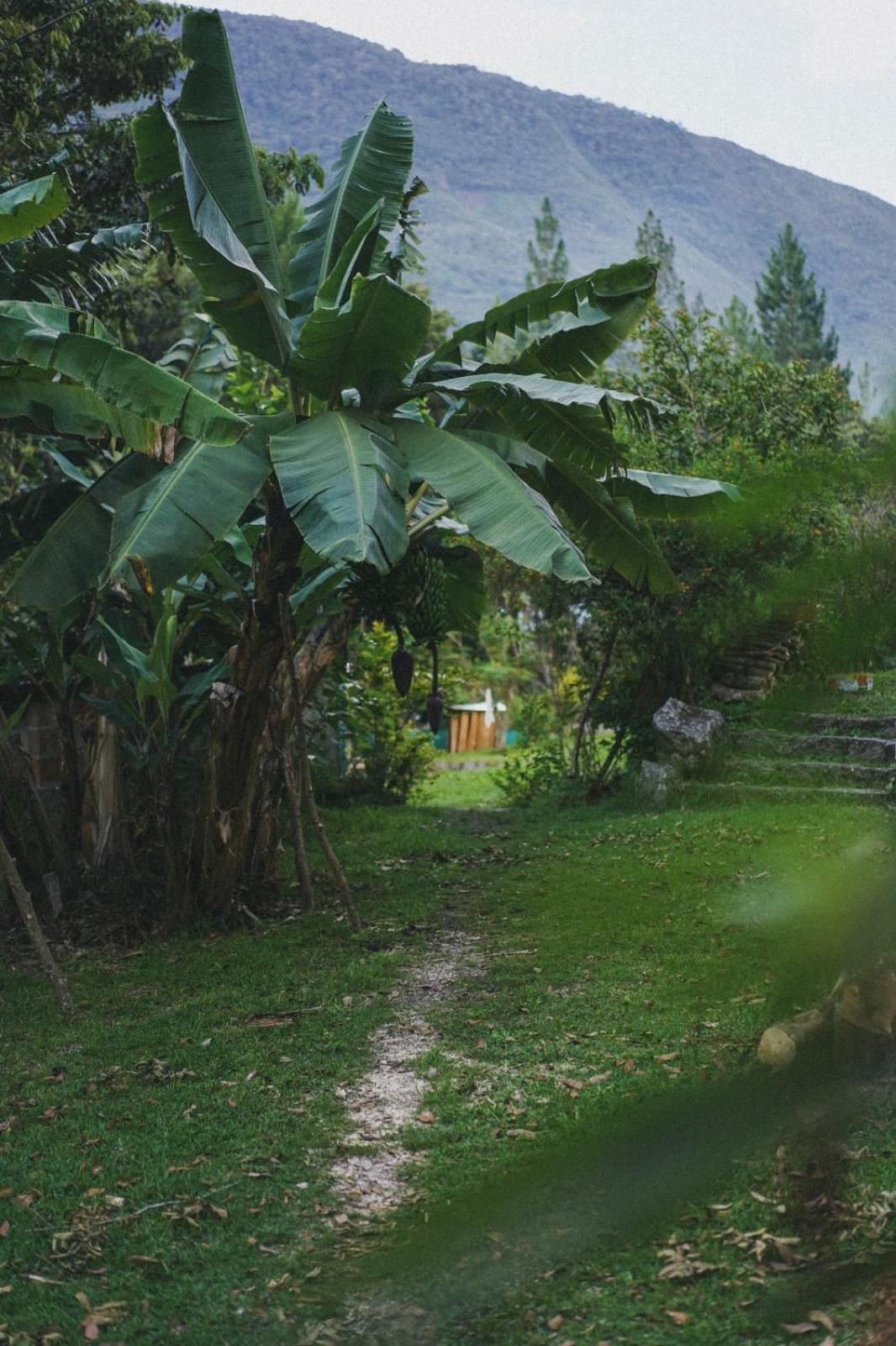 Lucmabamba Lodge Santa Teresa  Ngoại thất bức ảnh